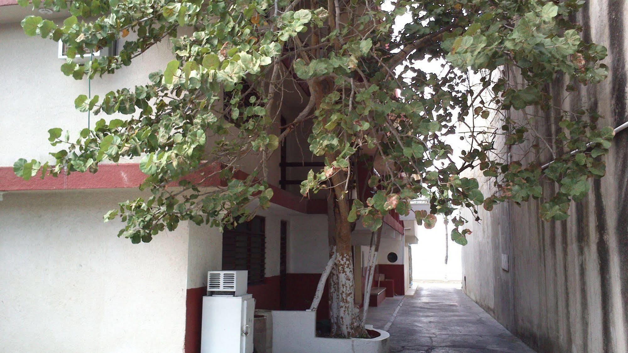 Safari Inn Cozumel Zewnętrze zdjęcie