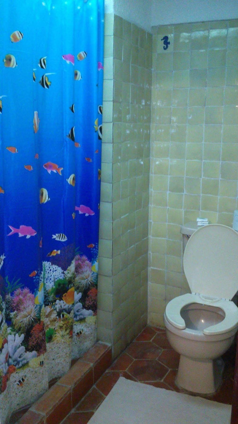 Safari Inn Cozumel Zewnętrze zdjęcie