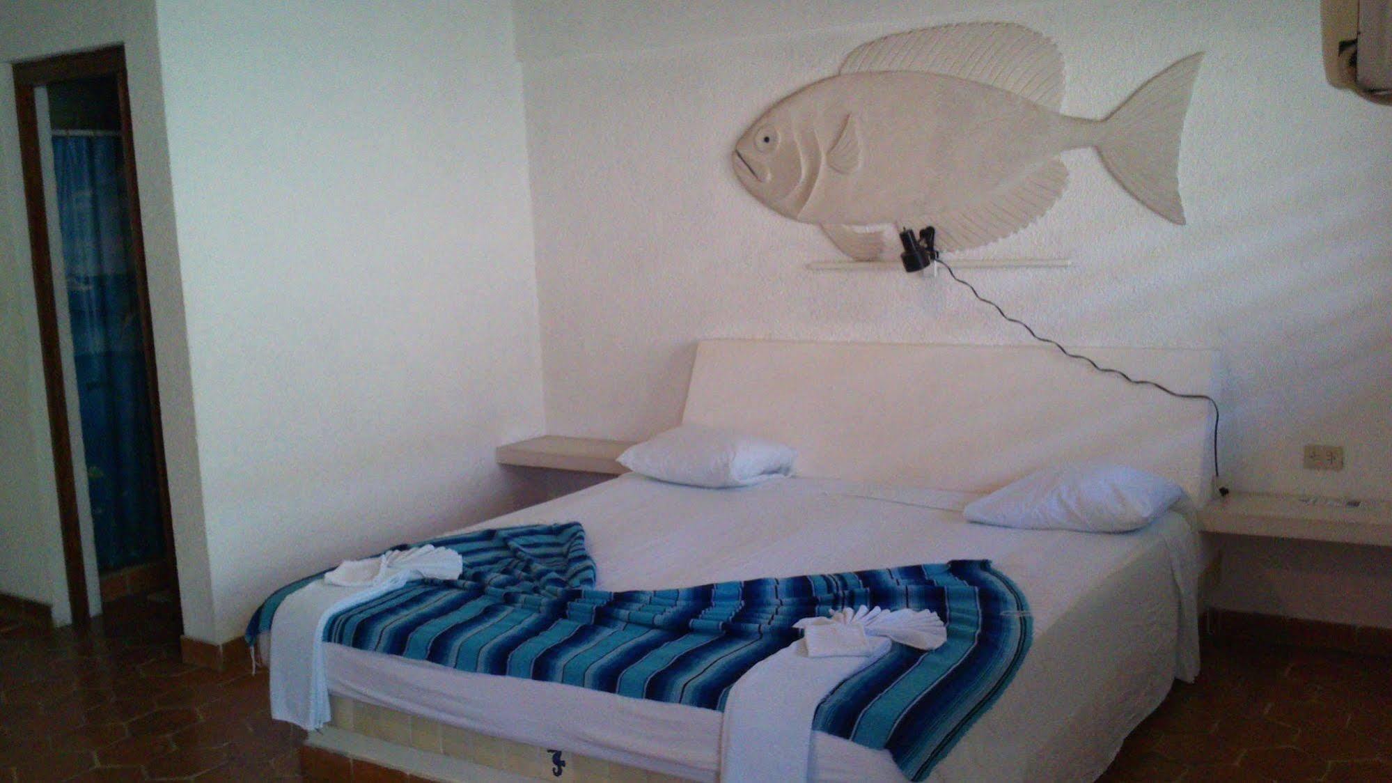 Safari Inn Cozumel Zewnętrze zdjęcie
