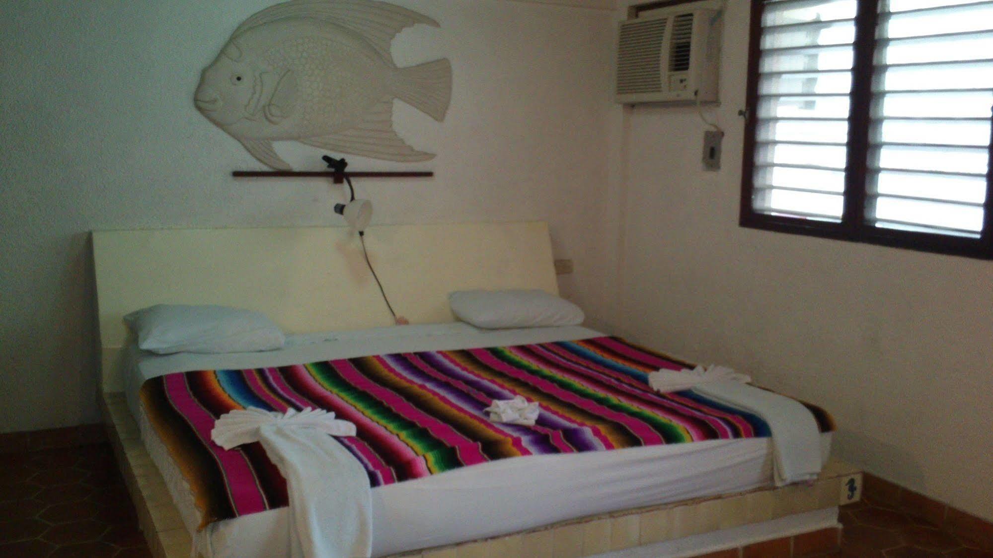 Safari Inn Cozumel Zewnętrze zdjęcie